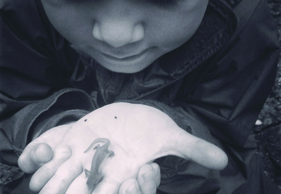A black and white photograph of a yound child holding an eastern red eft salamander. 
