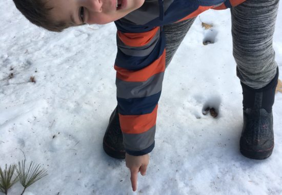 A young boy in the winter pointing out deer tracks.