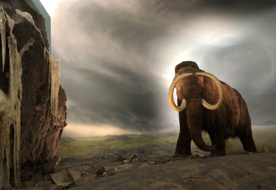 An artist's rendition of a wooly mammoth walking on a rocky landscape. 