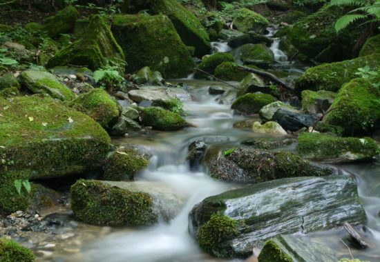 A brook flowing through a series of mossy rocks.