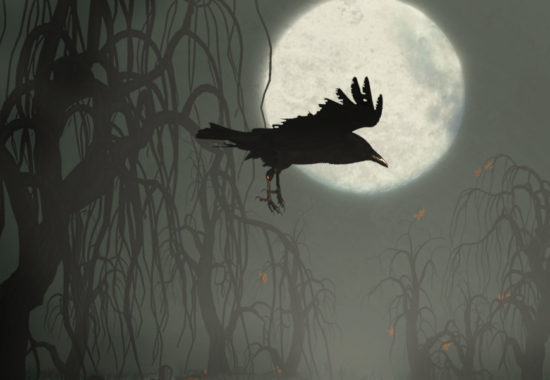 A spooky raven flying in front of a full moon.