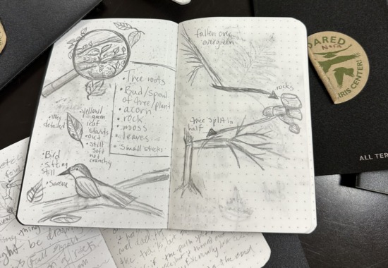 Nature journal